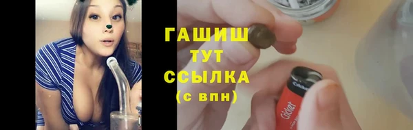 прущие грибы Армянск