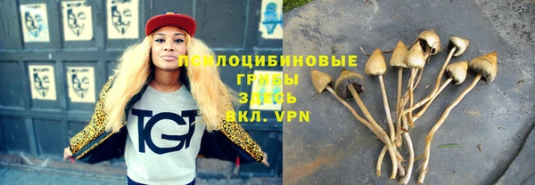 бошки Арсеньев