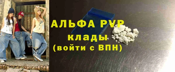 прущие грибы Армянск